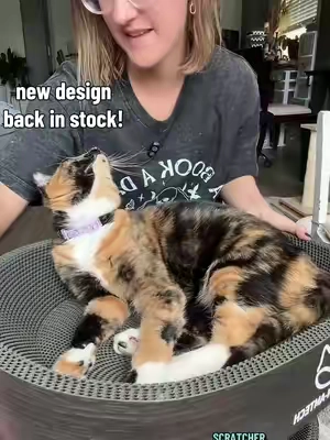 Replying to @Harlan Ellison's Ghost the sleek design is back in stock but may be on back order so may take a couple of weeks to ship. #catscratcher #scratcher #catbed #catfurniture #tiktokshopsummersale 