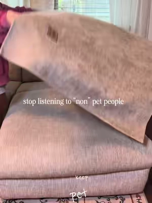 if your pets are allowed on the couch 👀🐾