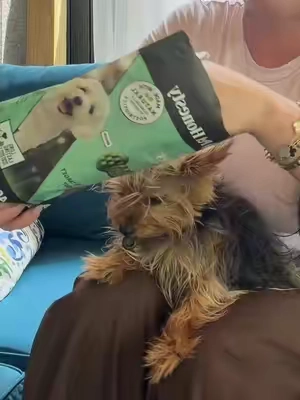 Respuesta a @yitsy Valdivia Brush Buddies All-Natural + Long Lasting Dental Treats for Extra Small Sized Dogs - 40 Count#summerwins #dealsforyoudays #tiktoksummersale  #SummerVibes #petlovers 