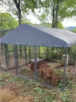 Great quality! It’s held up for our big dogs! #dogkennel #dog #dogcage #doghouse #chickencoop 