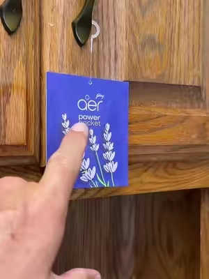 Air freshener that ACTUALLY works without polluting the air… #airfreshener #tiktokshopcreatorpicks #tiktokshopsummersale #summerwins #summermusthaves 