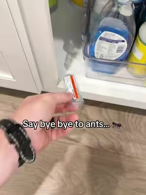 It’s worked wonders for me… #ant #pestcontrol #insectrepellent #homehacks #tiktokshopsummersale 