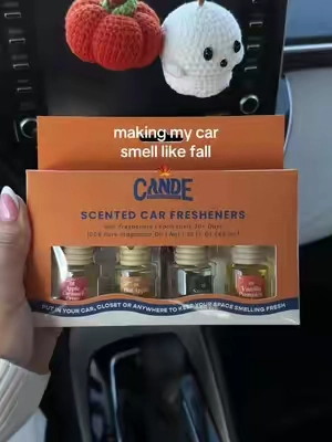 fav season 🍁 #carfreshener #fall #autumn #vanilla #pumpkinspice 