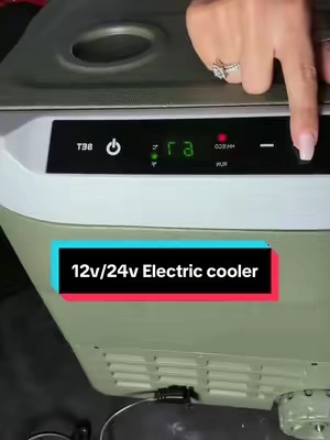 Who needs ice when you have a 12v /24v electric cooler? 