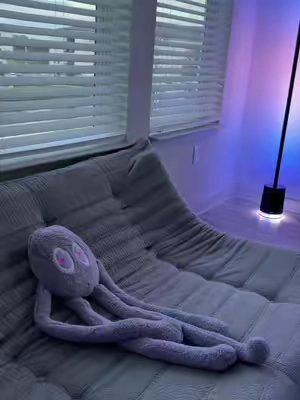 7666681330339499294