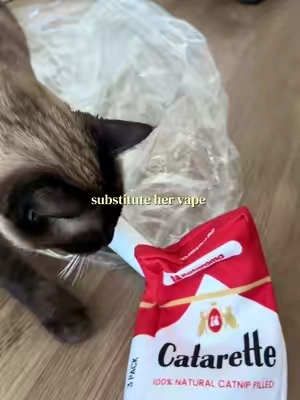 💯 filled with premo catnip #catenrichment #cattoy #tiktokshopcreatorpicks #tiktokshopsummersale #catsoftiktok 