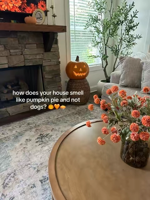 Calling all the pumpkin spice girlies 🫡 the pumpkin spice upholstery deodorizer is hereeee 🎃 #pumpkinspice #carpetdeodorizer #upholsterydeodorizer 