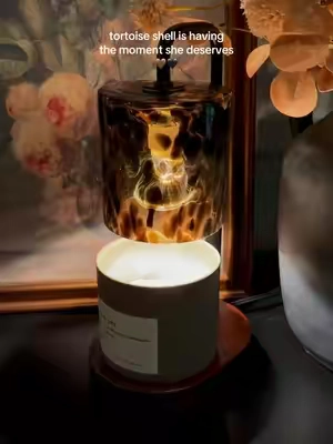 the prettiest candle warmer I’ve ever seen 🤎🖤 #candlewarmerlamp #candletok #candlewarmer #tortoise #cozyhome 