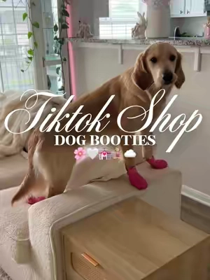 Dog booties 🌸🤍💒🧘🏼‍♀️☁️#fyp #dogclothing #dogshoes #dogaccessories #dogclothes 