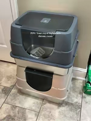 #cats #catsoftiktok #stainlesssteellitterbox 
