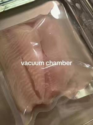 Replying to @SpamJammer verdict is in…. vacuum chanmber works with fish with the water added. 