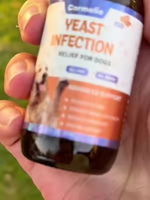 🐾 🐕‍🦺 Allergies and yeast often go hand in hand, which is why some dogs keep scratching even after you’ve tried everything else. These natural drops support healthy skin, ears, coat, gut, and immune health with a blend of herbs that are easy to give and bacon flavored. If your dog struggles with itchy skin, paw licking, ear irritation, or that familiar “corn chip” smell, this may be worth looking into. #ItchyDog #DogHealth #DogSkinCare #ttspathways   @Carmelie Store  #CapCut 