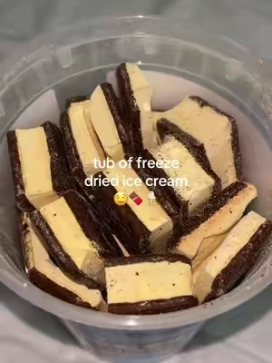 tub of freeze dried ice cream sandwiches🤤🧊 #freezedriedcandy #freezecandy #freezedried #freezedriedicecream #freezedriedicecreamsandwich