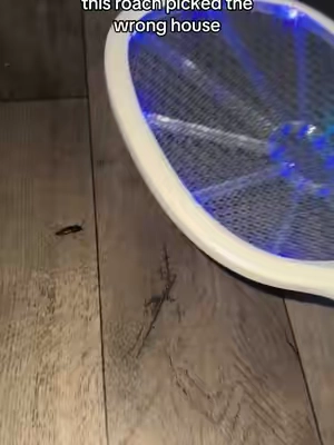 #bugzapper 