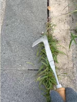 Do you still use butter knife,screwdriver and fire torch for this type grass in crevice? Check this All-in-One Weeding Warrior! Tame your home with ease. 🌿🛠️50% Off Limited Stock! Shop Now ❤️#GardeningHack #WeedingTool #MustHaveGadget #dealsforyoudays #SummerWins