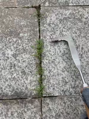 Do you still use butter knife,screwdriver and propane torch for this type grass in crevice? #crevicetool#magictools#drivewaycracksgrass#DealsforYouDays#summerwins