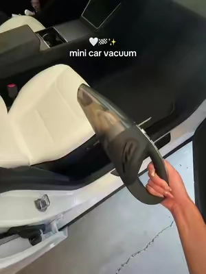 7667217888700288286