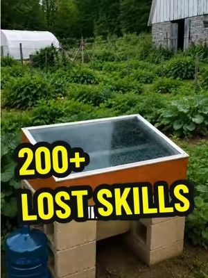 What if one book could teach you skills that took generations to learn? From growing food and collecting water to natural remedies and forgotten homesteading knowledge, it's all in one place. 🛒 Tap the orange cart below to discover the Lost Skills of Independence. #SelfReliance #Homesteading #Preparedness #SurvivalSkills #LostSkills