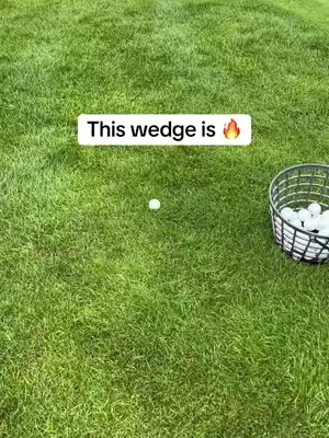 I mean you can’t beat the price either! #golfwedge #golfsale #golflife #golfclub 