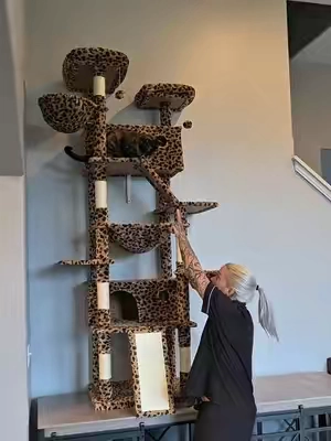 If you've got multiple cats, large cats, or one that always wants the highest spot in the house, this 81-inch cat tower is such a good find! It's huge, sturdy, and priced surprisingly good!! #CatTower #CatTree #MultiCatHome #LargeCats #catstand 
