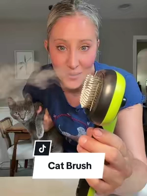 Replying to @TeddyCat_2010 Cat parents…this brush is ridiculously satisfying. 😻 It grabs so much loose fur without tugging, and cleanup takes seconds. Definitely one of those pet finds that’s worth adding to your routine. #catbrush #C#CatMustHavesC#CatProductsP#PetFindscattok  
