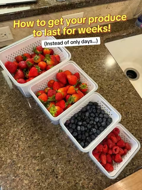 Stop throwing away money every time your berries go bad 🍓🫐. How to make your produce last for weeks #freshfruit #fruit #kitchen #KitchenHacks #tiktokshopcreatorfinds 