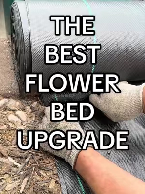 Buy it once instead of replacing it every year.
