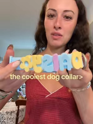 The best dog collar I’ve ever seen #dogcollar #dogs #dogsoftiktok #dogtok #dogaccessories 