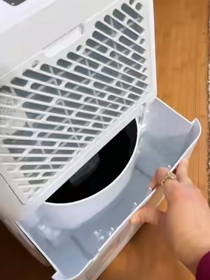 finally became a responsible Floridian and got a dehumidifier to prevent mold growth in my home 😅 I had no idea how bad my moisture problem was - we just set it up last night and the tank is already halfway full! Probably should’ve ordered this years ago.  #dehumidifier #dehumidifiers #moldprevention #airdehumidifier #TiktokShopCreatorPicks  