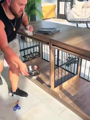 #SummerVibes #dogshouse #petshouse #pet #SummerWins 