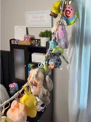 #trinkets #bagcharms #hangingorganizer #keychains #stuffedanimalstorage 