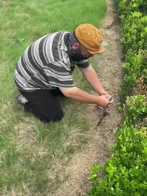 Gardeners under 50 who already have the knees of an 80-year-old need to see this immediately 🛑🌱 #gardeningtips #backpain #DIY#RIFPOD #TikTokShopDealsForYouDays 