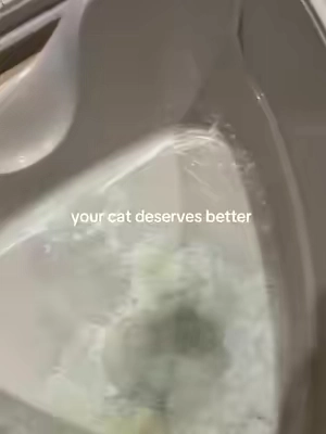 Stainless steel Enclosed litter box extra large and comes with everything you need! #litterbox #sweetcrispy #cats #catsoftiktok #catlover 