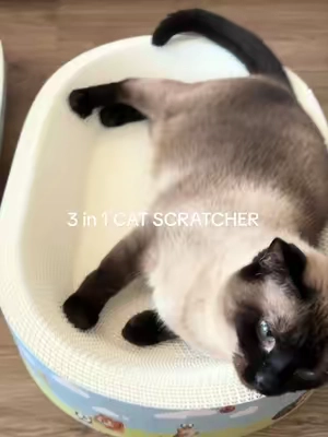 I fear this is necessary #catenrichment #catscratcher #catsoftiktok #tiktokshopcreatorpicks 
