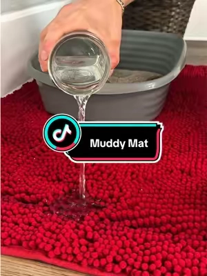 cat parents, listen up  #catparents #catlitterbox #CleanTok #doormat #muddymat 