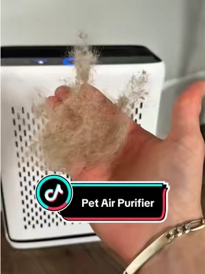 so these work 😅😅 #pethairremoval #airpurifier #allergies #cleanair #airquality 