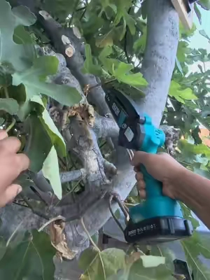 🌳 Compacta, ligera y lista para usar La SEESII Mini Chainsaw de 6 pulgadas funciona con batería y es ideal para podar ramas, cortar madera pequeña y realizar trabajos de jardinería con mayor comodidad. #MiniChainsaw #GardeningTools #PowerTools #DIYProjects #TikTokShopCreatorPicks