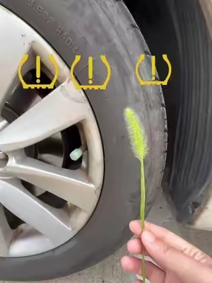 Stop paying the shop to reset your TPMS light #tools #carrepair #tpmssensor #SummerVibes #dealsforyoudays 