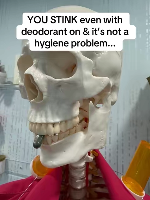 You literally cannot out-deodorant an internal imbalance. Body odor starts in your gut and with toxin overload. Processed foods, alcohol, environmental junk…it all builds up and the bacteria in your digestive system make odors that can come through your skin AND off your breath. Your deodorant never had a chance. ChloroZen has chlorophyll, spirulina, chlorella, and peppermint that support toxin removal and cleaning the system from the inside before it ever reaches your skin or breath. Plus gut support ingredients like slippery elm and sea moss because so much of this starts in the gut. And it’s 3rd party lab tested, made in the US with No fillers or junk additives and gluten free so I feel good suggesting it as a supplement snob. And @Clean Nutra has a 2 for 1 deal right now so you can fix your BO on a budget. #bodyodor #smellyarmpits #BO #holistichealth #deodorant Not medical advice. Talk to your doctor about your health concerns/supplements. 