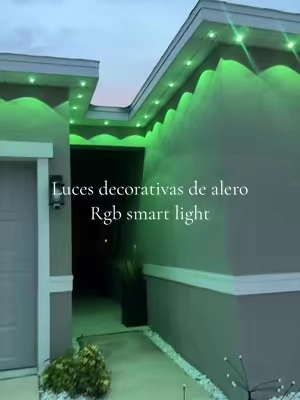 P67 Waterproof RGB Outdoor Eave Lights Smart Louts Lantern App & Infrared Remote Control Dimmable Color Changing Permanent Roof Decor Lights for Garden Wedding Christmas Halloween Party @Segrass #rgblight #blackfriday #outdoordecor #ledlight #homeimprovement 