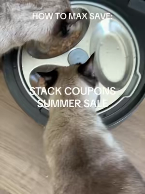 Perfect for back to school @Petlibro #tiktokshopcreatorpicks #automaticcatfeeder #catsoftiktok #catessentials 