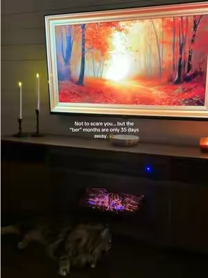 This fluted fireplace TV stand is going to be so fun to decorate for fall and Christmas. You can enjoy the flames year-round, or turn on the heater and warm up your room. It makes the whole space feel so cozy. #homedecor #fireplace #livingroom #cozyhome #fireplacetvstand 