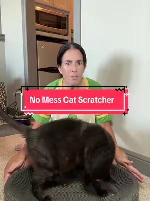 If your cat loves scratching the couch, this is worth trying. The oval cardboard scratcher gives them a spot they’ll actually want to use, while the sleek black design looks much nicer than most scratchers. It’s sturdy, keeps cats entertained, and helps protect your furniture from those sharp little claws. #CatTok #CatProducts #CatScratcher #PetMustHaves #TikTokShop