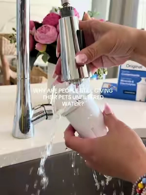 @Brita makes it sooo easy and you save so much $ on bottled water. Plus it’s purple #tiktokshopcreatorpicks #brita #cleanwater #waterfiltration #catsoftiktok 