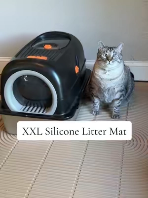 This XXL silicone litter mat has grooves that keep the litter in the mat instead of all over my floor. It’s honestly made a huge difference with litter tracking in my house. #catsoftiktok #catowner #littermat #litterbox #catproducts 