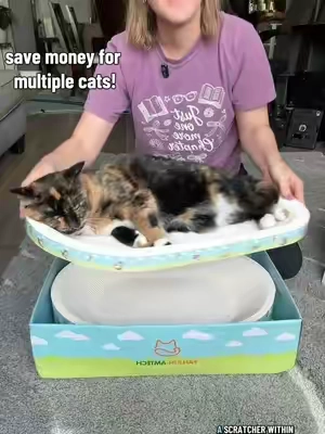 Replying to @JustAMess perfect for multiple cat households! #catscratcher #scratcher #catbed #catfurniture #tiktokshopsummersale 