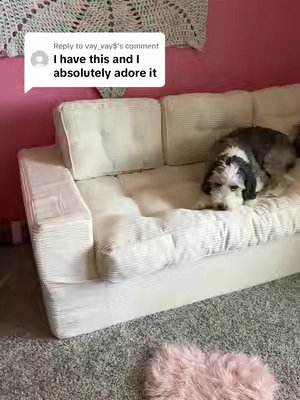 Replying to @vay_vay$ couch #sofa 