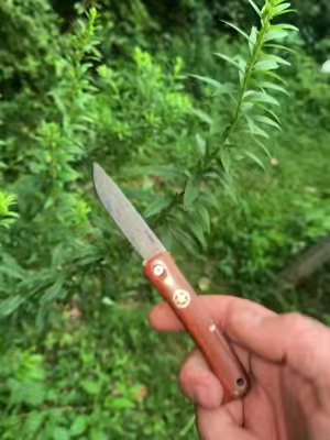 Mini Damascus folder #edc #knife #pocketknifes #summerwins 
