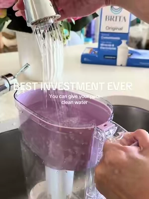 So easy and saves you tons @Brita  #tiktokshopcreatorpicks #brita #cleanwater #waterfiltration #petessentials 