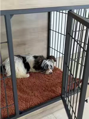 Warcat Furniture Dog Crate 🐶🏡 A stylish dog crate that doubles as furniture, giving your pup a cozy space while blending beautifully with your home.  #DogCrate #PetFurniture #DogEssentials #ModernHome #tiktokshop 
